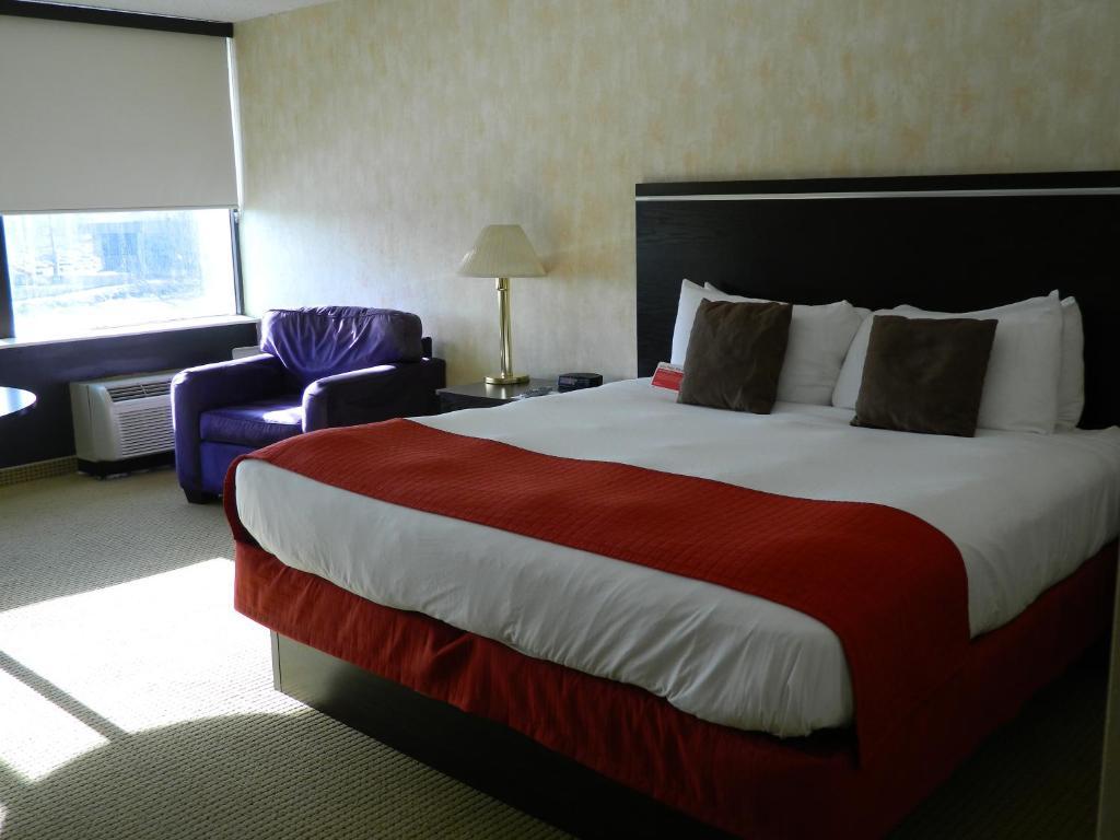 Deluxe Suite (6 Adults)